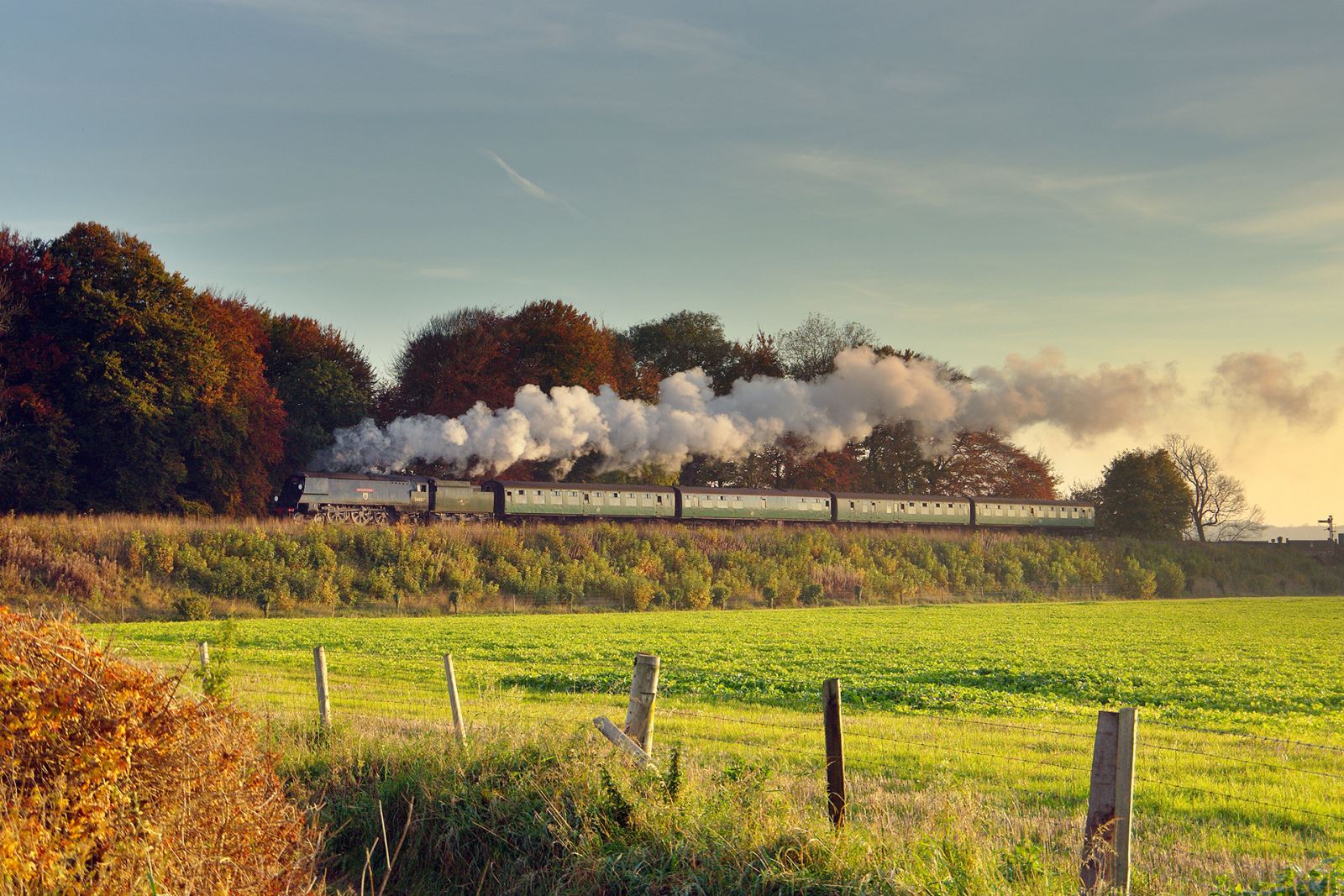 Virtual Ride on The Watercress Line